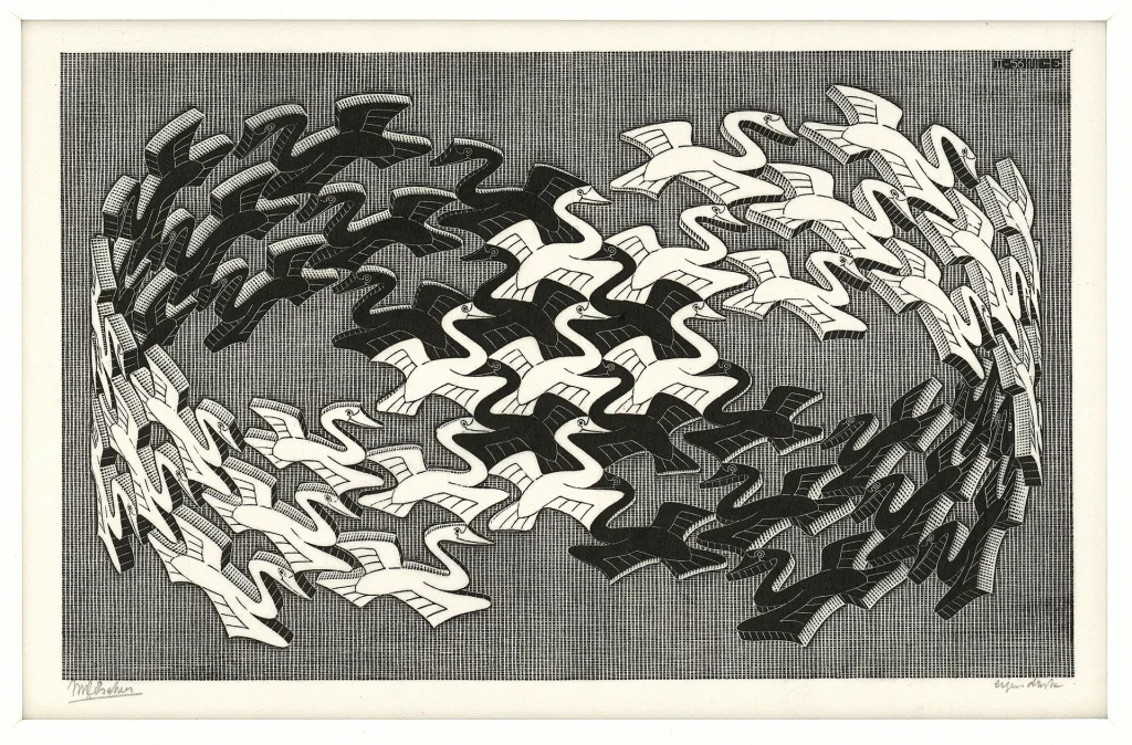 immagine per M.C. Escher Cigni (Cigni bianchi, cigni neri), 1956 Xilografia di testa, 199x319 mm Collezione Maurits, Italia All M.C. Escher works © 2026 The M.C. Escher Company, The Netherlands. All rights reserved www.mcescher.com