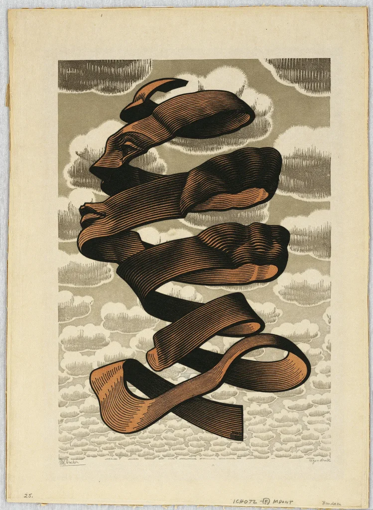 immagine per M.C. Escher Buccia, 1955 Xilografia di testa e xilografia, 345x235 mm Collezione Maurits, Italia All M.C. Escher works © 2026 The M.C. Escher Company, The Netherlands. All rights reserved www.mcescher.com