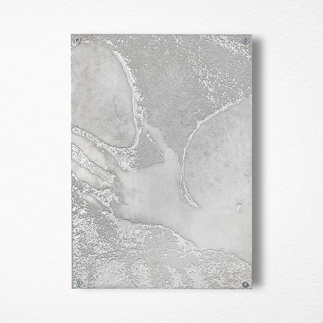 immagine per Porous Kinship @ Artopia