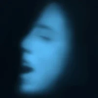 immagine per opera di Pedonesi Alessandra