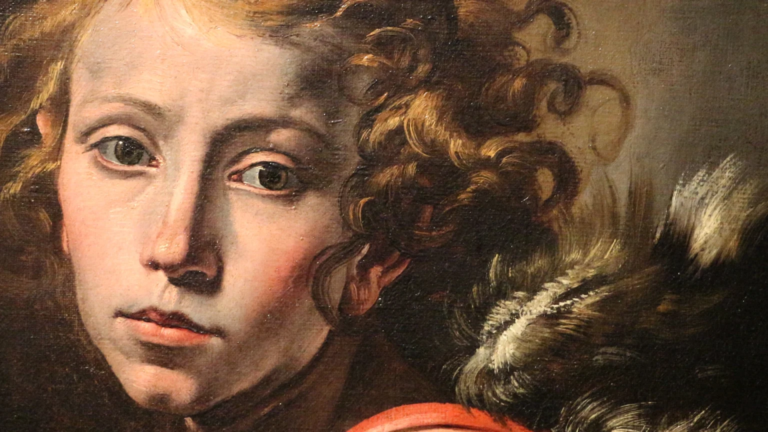 immagine per Barocco Teatro d’intesa al Museo San Domenico di Forlì. Estasi, potere e meraviglia