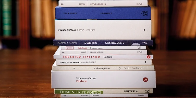immagine epr I dodici libri candidati al Premio Strega Poesia 2026