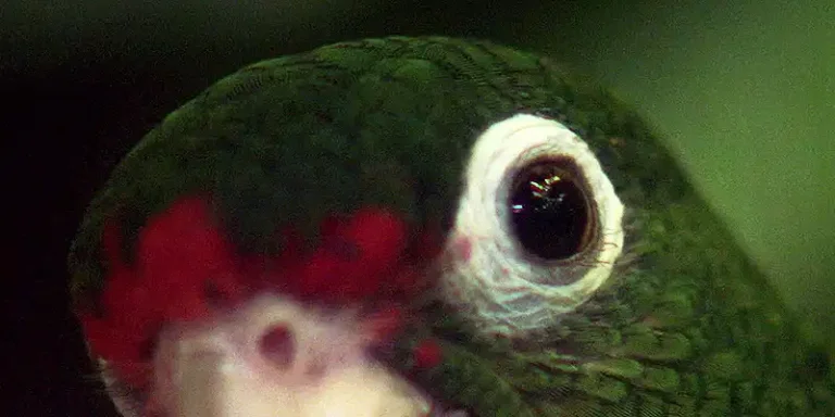 immagine per Flight Paths