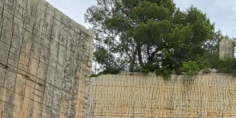 immagine per Alchemilla Selvaggi a Noto