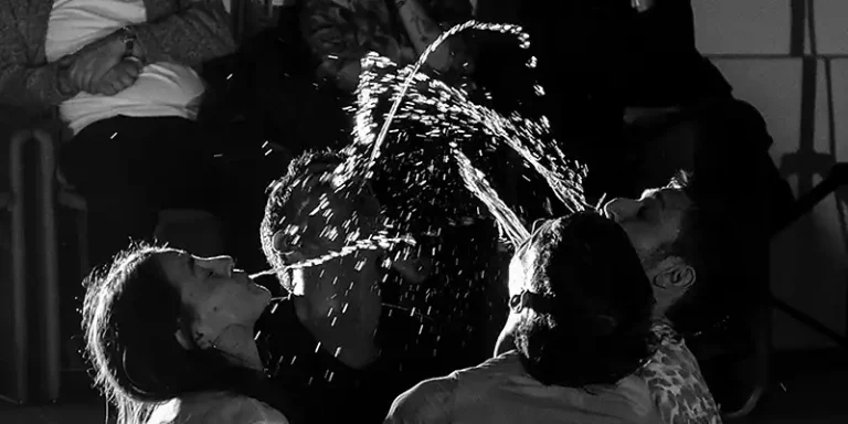 immagine per Kinkaleri Dances on Dickfaces