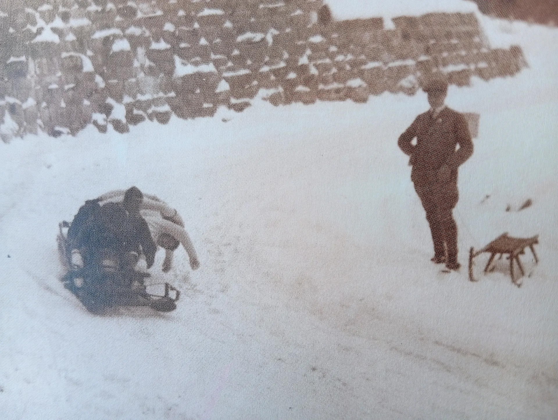 immagine per fig. 24 - Josef Delfauro, Gara di bob sul Passo Giovo, 1928