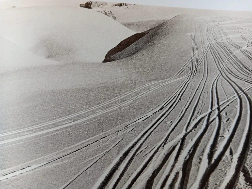 immagine per fig. 27- Enrico Pedrotti, Tracce - dal catalogo della mostra