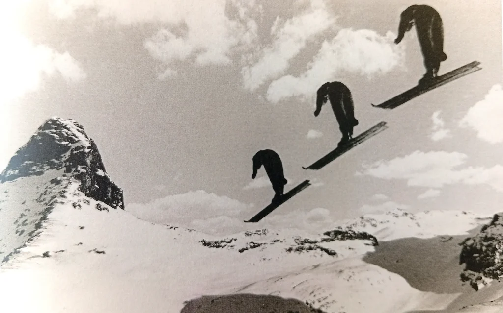 immagine per fig. 29 - Enrico Pedrotti, Salto triplo, 1936