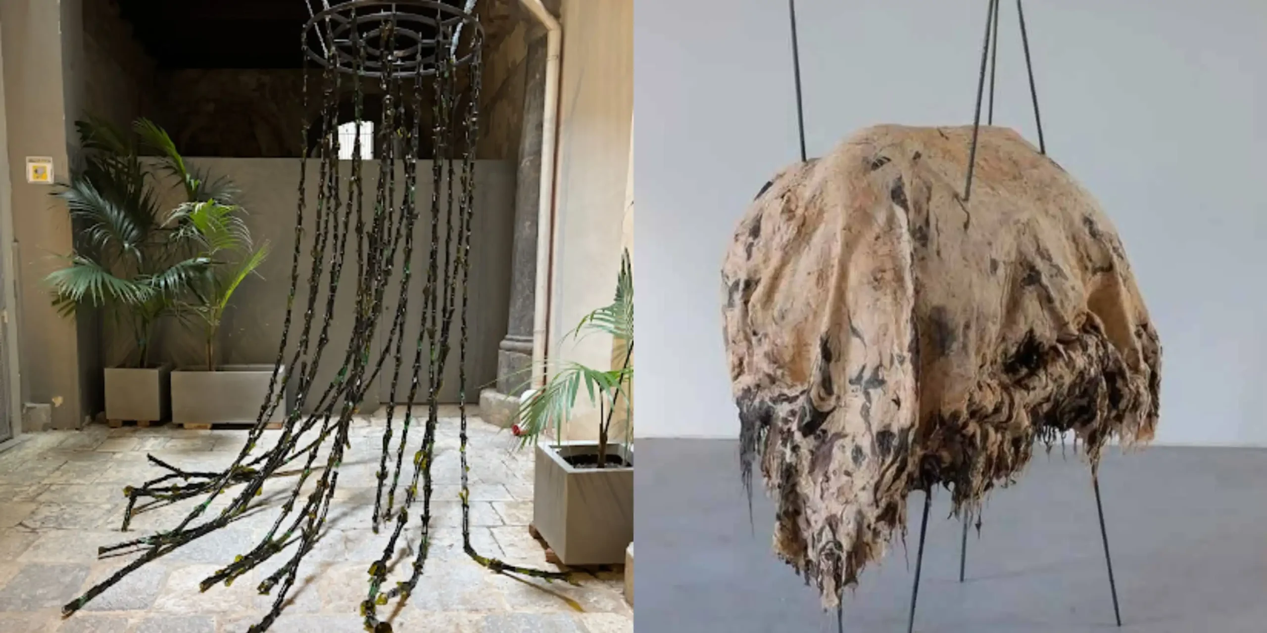 immagine per Generazione Sicilia, Collezione Elenk’art