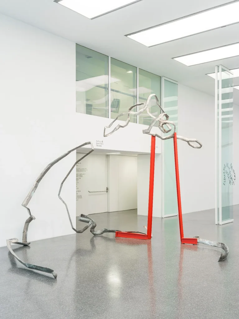 immagine per Eduard Habicher Memory in Motion. Museion, Bolzano