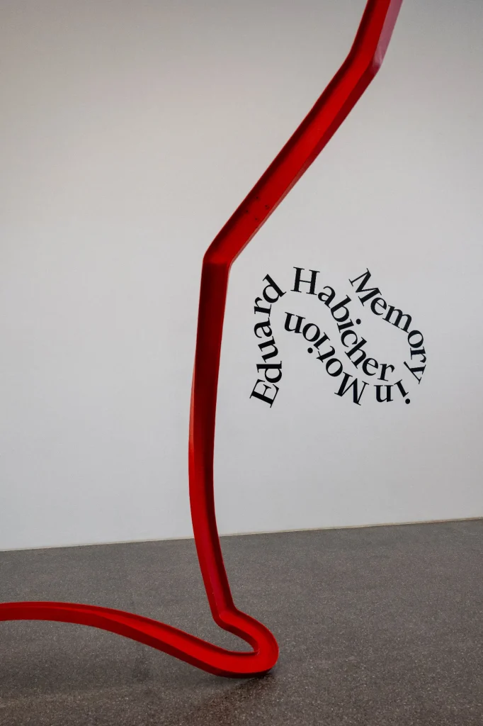 immagine per Eduard Habicher Memory in Motion. Museion, Bolzano