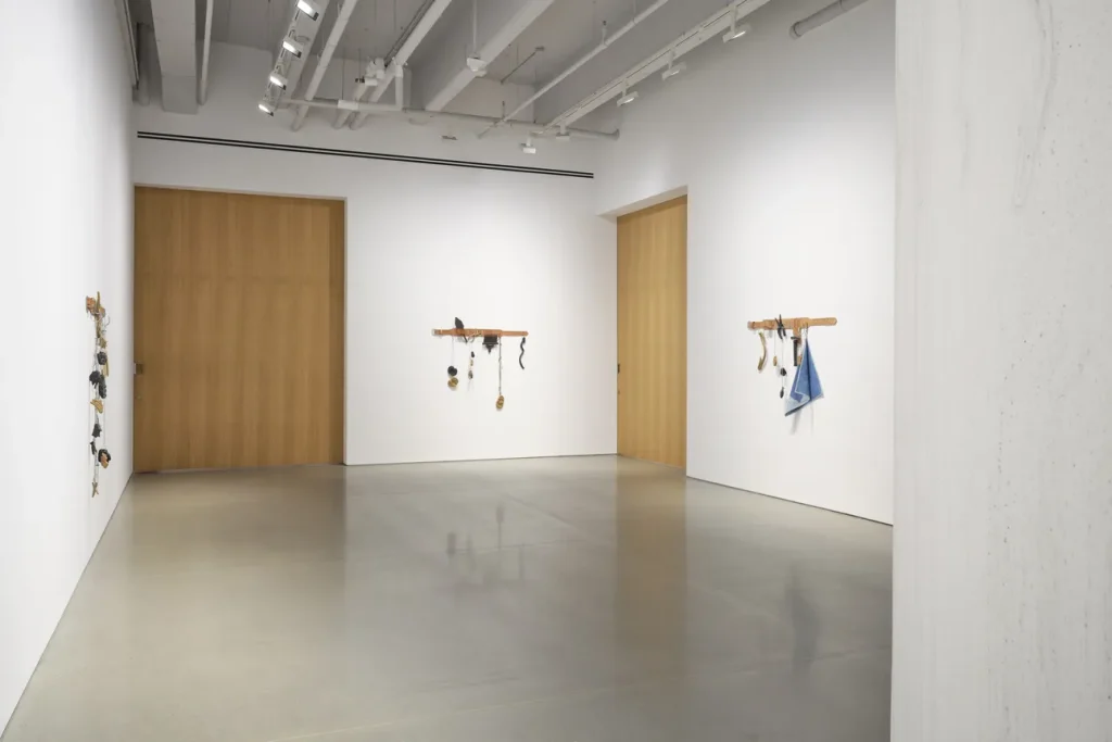 immagine per Mariana Castillo Deball, Serpent Disappearances – exhibition view, Kurimanzutto, New York, 2026. Ph. Zach Hyman