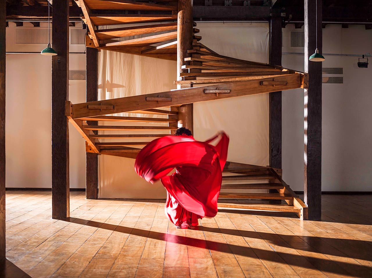 immagine per Isaac Julien Museum Dreams