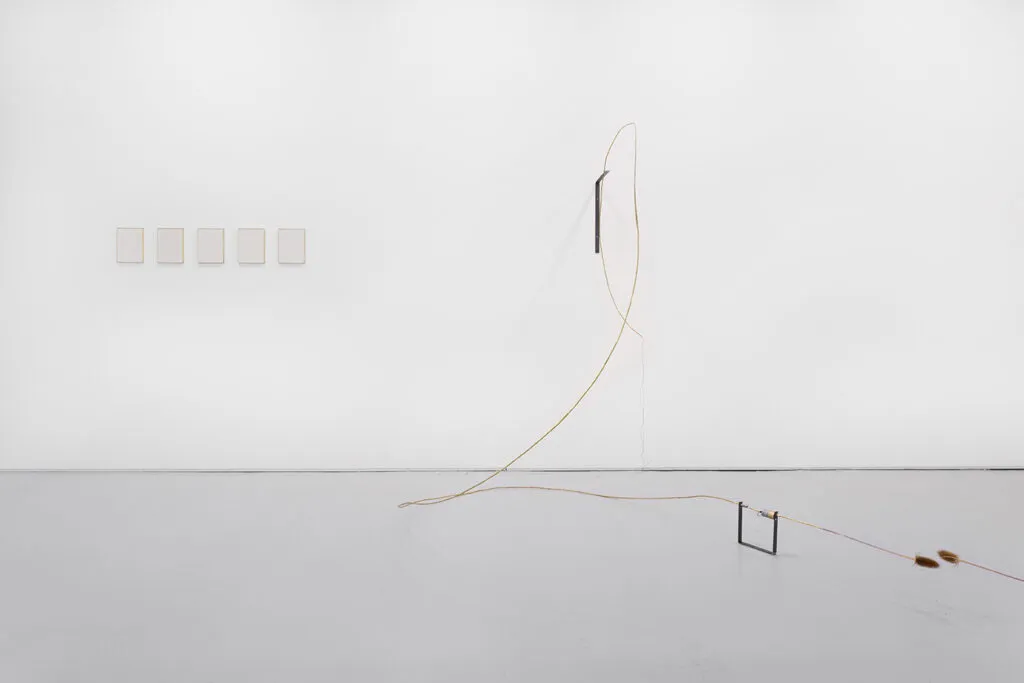 immagine per Daniele Di Girolamo Beautiful Thinghs Away courtesy Traffic Gallery