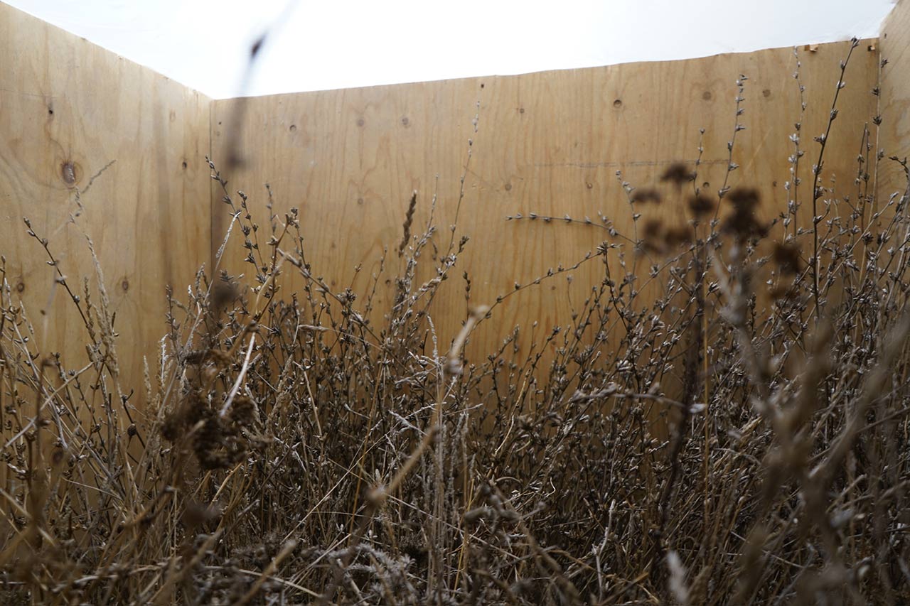 immagine per Model of the Main Room