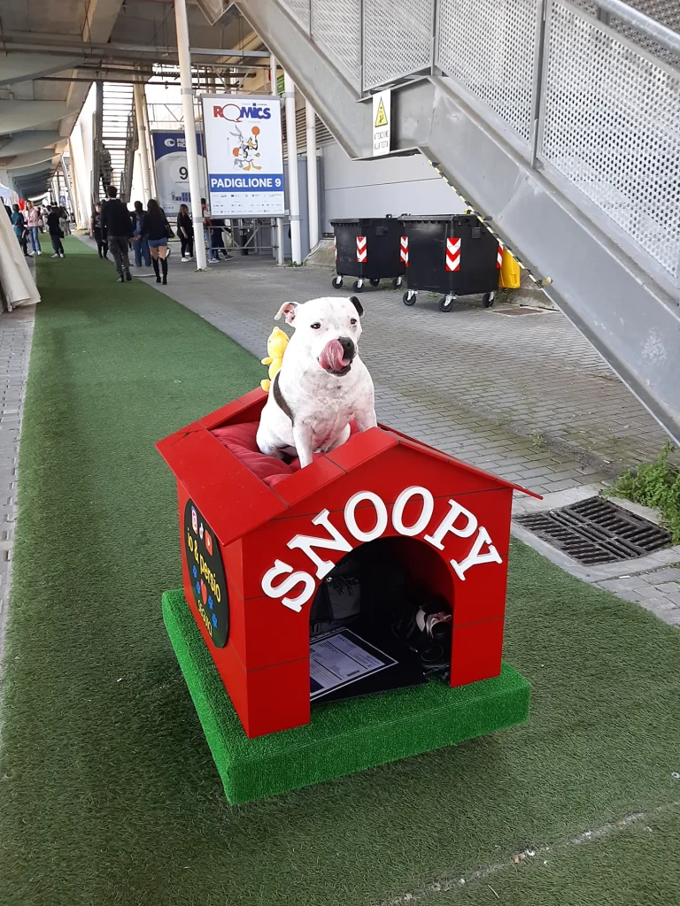 immagine per …e di tutte le razze. Ph Flavio Martusciello