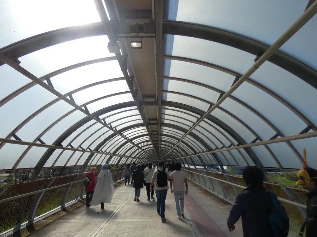 immagine per in cammino per il Romics. Ph Flavio Martusciello