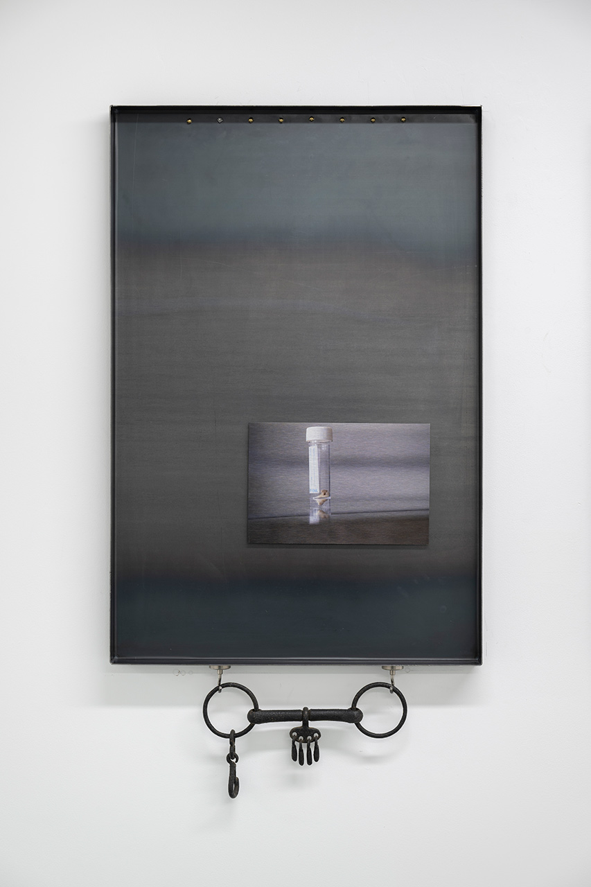 immagine per M Lissoni