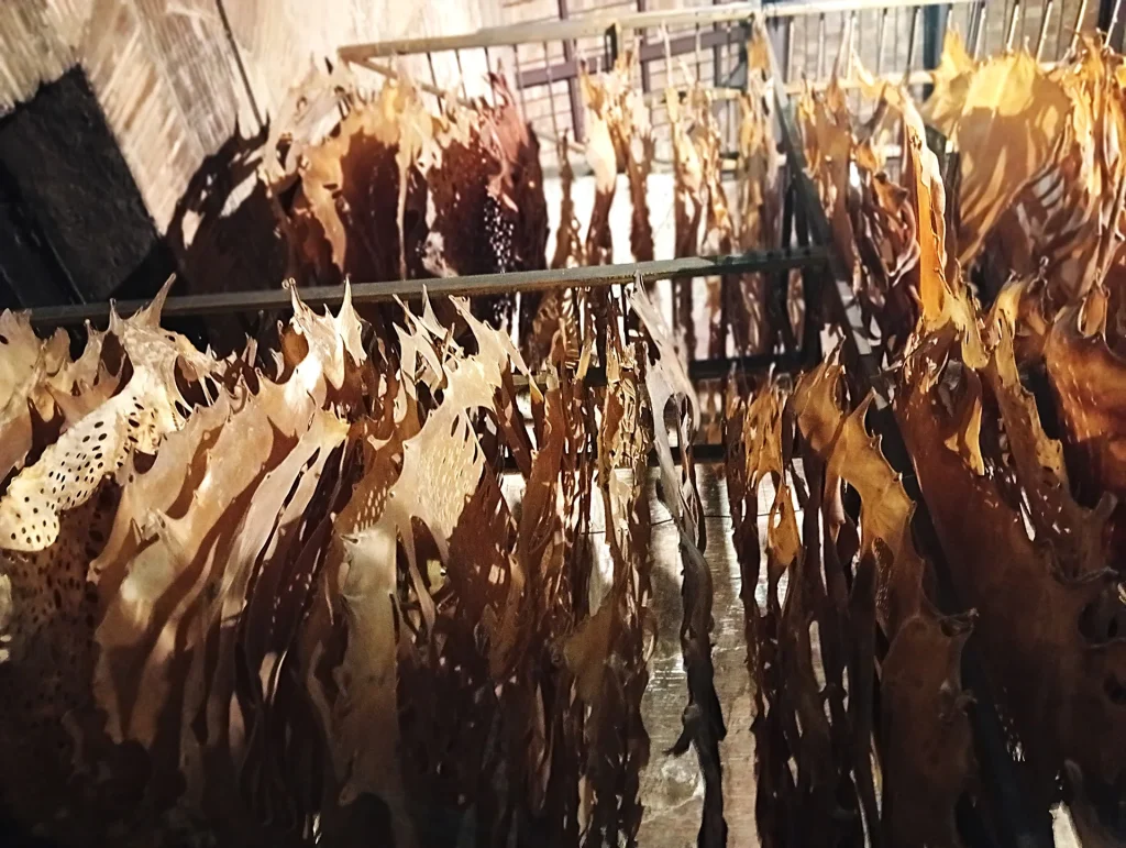 immagine per Wu Jian’an - opera (veduta parziale) alla mostra Metamorphoses, Roma, 2026 -ph. Barbara Martusciello (1)