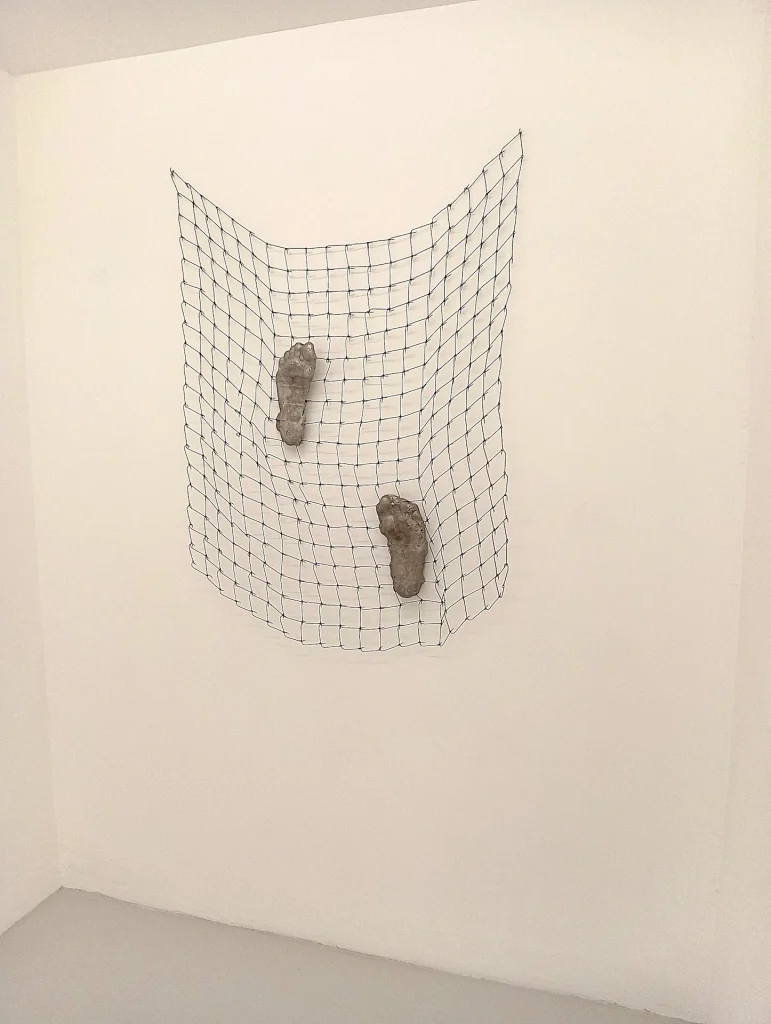 immagine per Yoan Capote - Ruido Blanco -Galleria Continua San Gimignano, 2026 -ph. Barbara Martusciello