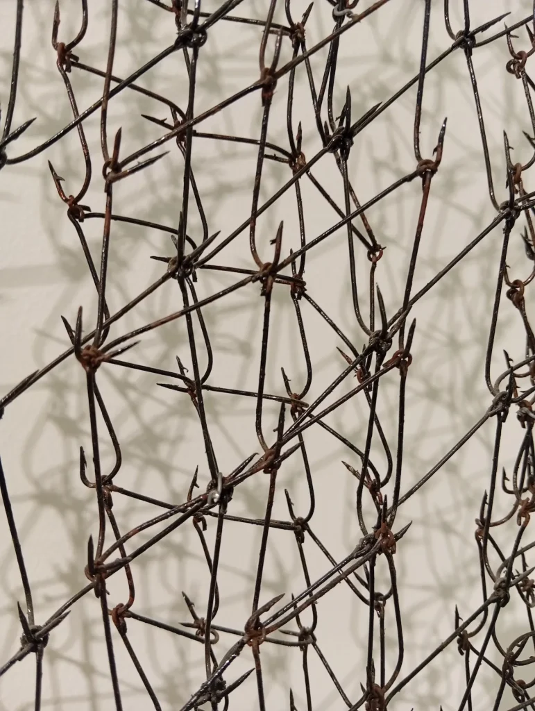 immagine per Yoan Capote - Ruido Blanco -Galleria Continua San Gimignano, 2026 -ph. Barbara Martusciello