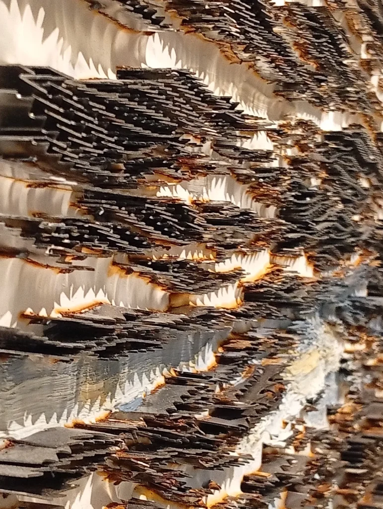immagine per Yoan Capote - Ruido Blanco -Galleria Continua San Gimignano, 2026 -ph. Barbara Martusciello