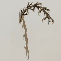 immagine per Martina Zanin. D’ali e d’artigli