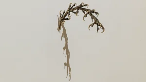 immagine per Martina Zanin. D’ali e d’artigli