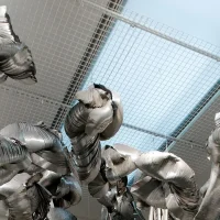 immagine per Oltre l’osservazione. Il movimento come dispositivo epistemico nell’arte contemporanea