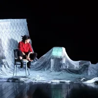 immagine per Attilio, o il suono delle gabbie quotidiane