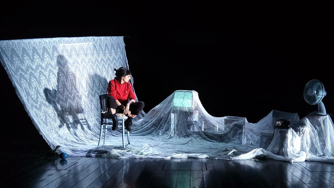 immagine per Attilio, o il suono delle gabbie quotidiane