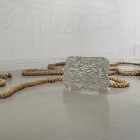 immagine per Mariana Castillo Deball. Sparizioni del serpente. Alla Galleria Kurimanzutto di New York