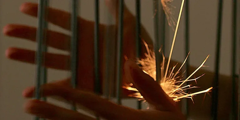 immagine per Antonio Barrese Morphology Light