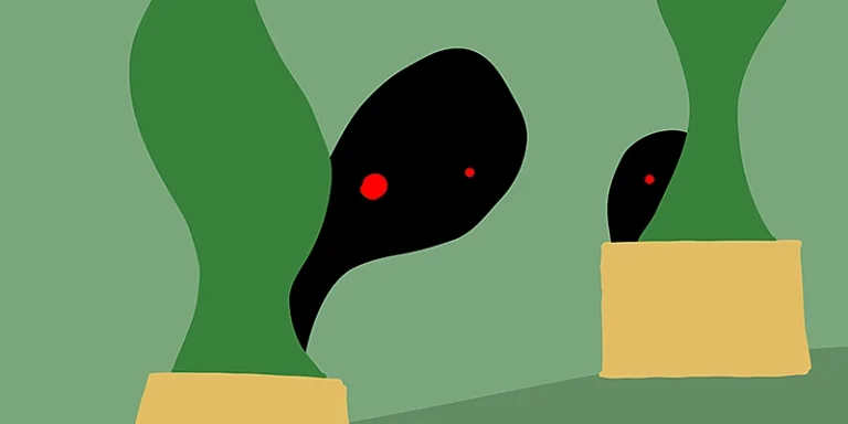 immagine per GGT Sempreverde