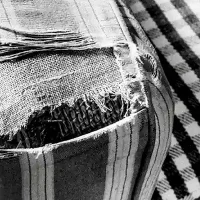 immagine per Lorenzo Castore Patrizia Cavalli