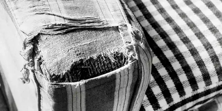 immagine per Lorenzo Castore Patrizia Cavalli