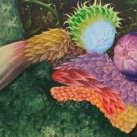immagine per Diego Gualandris. Pittura in forma di floralia e florilegi.