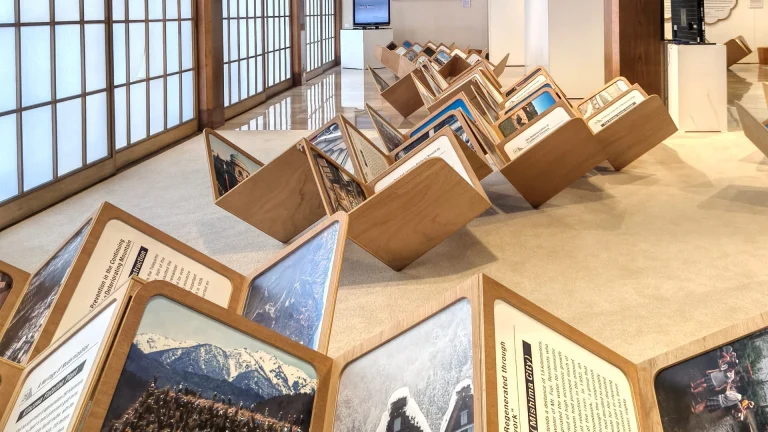 immagine per Ambiente costruito. Guida a un altro Giappone