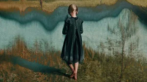 immagine per Il suono di una caduta, di Mascha Schilinski