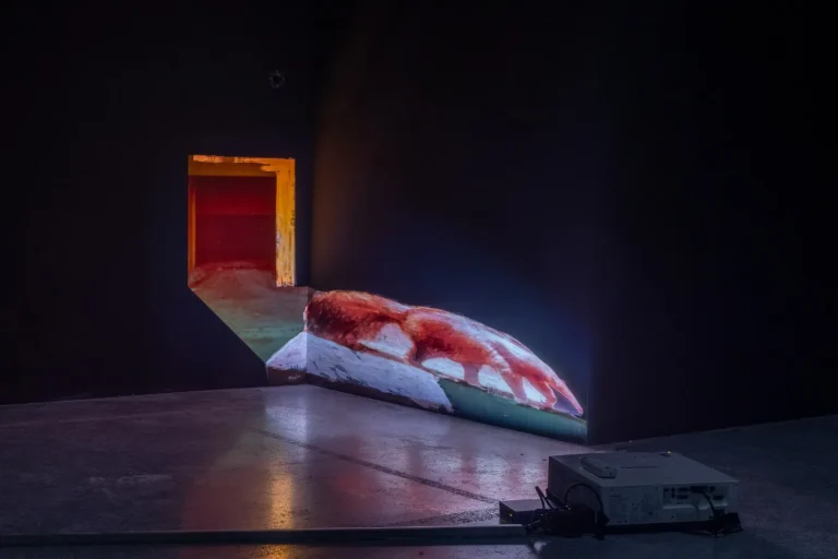 immagine per Exhibition view Feedback. The Environments of Franco Vaccari, Museion, 2026. Photo: Luca Guadagnini