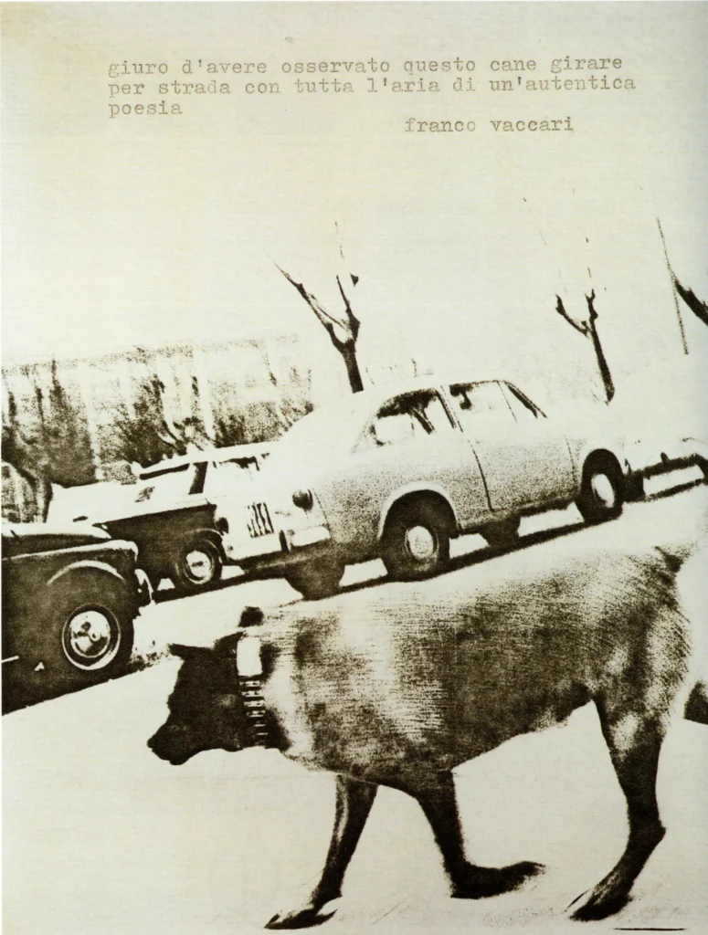 immagine per Franco Vaccari, Giuro di aver visto questo cane, 1967. Fondazione MUSEION. Museo d'arte moderna e contemporanea Bolzano – Archivio di Nuova Scrittura. Foto: Nicola Eccher
