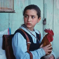 immagine per La torta del Presidente, di Hasan Hadi