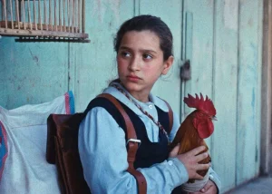 immagine per La torta del Presidente, di Hasan Hadi