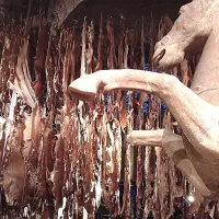 immagineper Wu Jian’an e la spettacolare Metamorphoses. Terme di Diocleziano, Museo Nazionale Romano