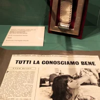 immagine per Nastro d'argento per 'Io la conoscevo bene'