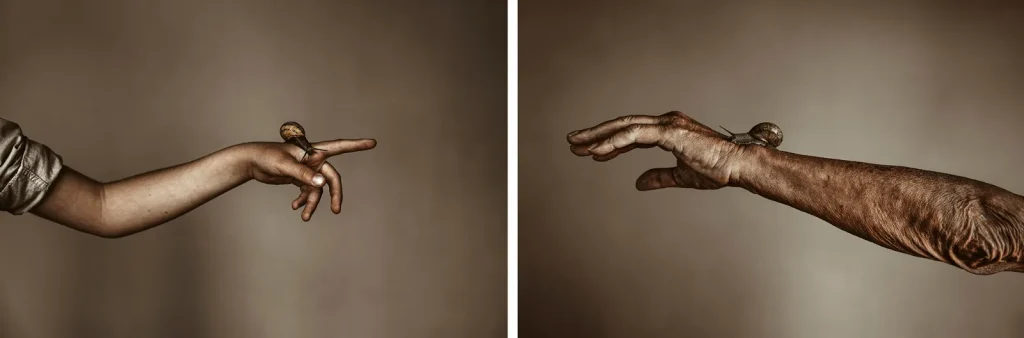 immagine per Ilaria Sagaria - Entroterra intangibile, 2020