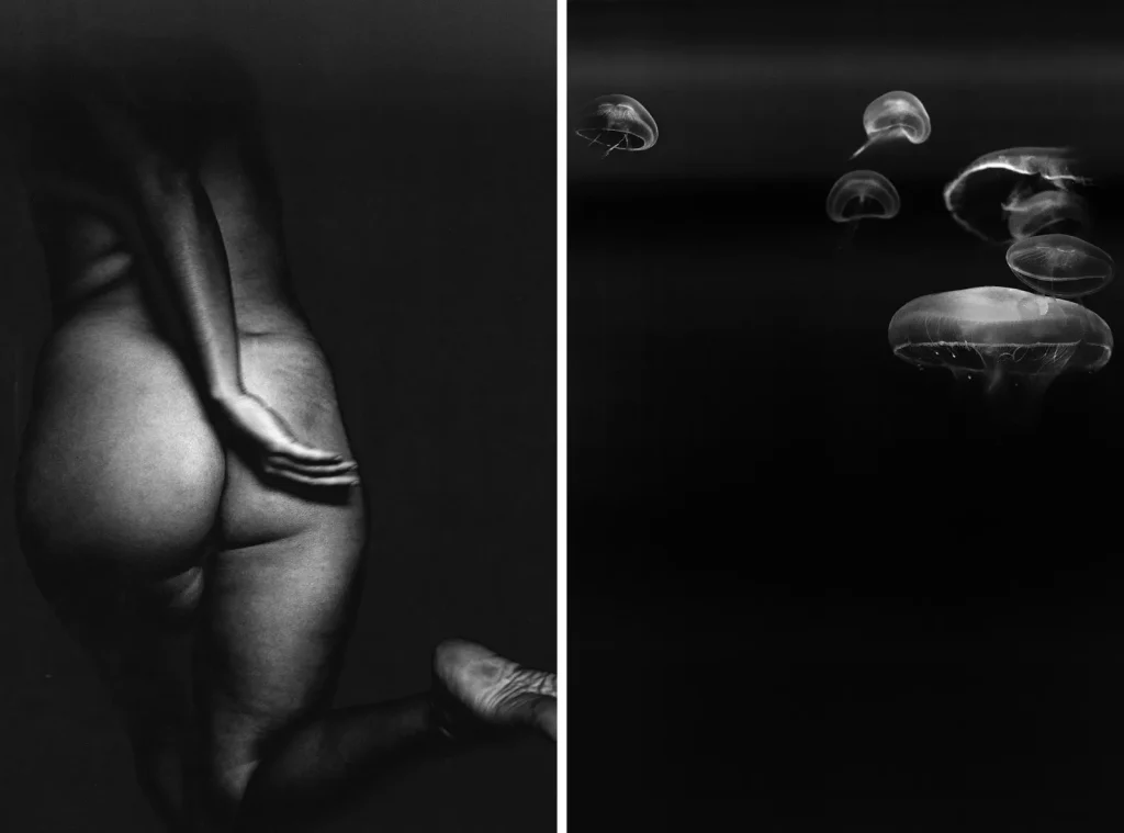 immagine per Ilaria Sagaria - Dittico Meduse, 2022