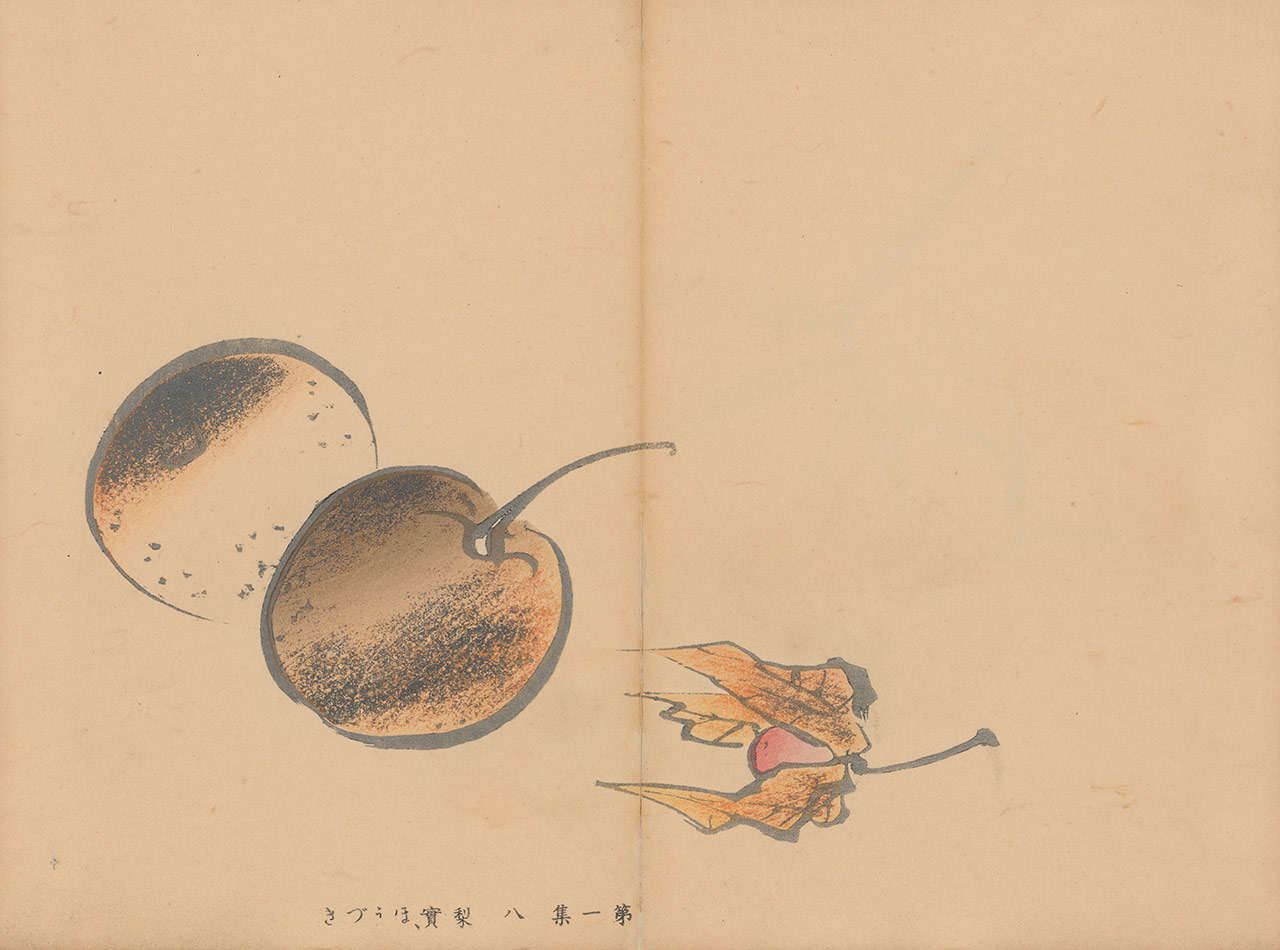 immagine per Yūgen: l’incanto sottile del Giappone