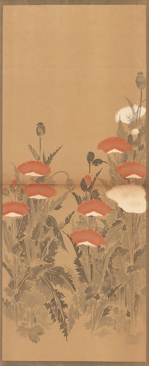 immagine per Ogata Korin, decorazione con papaveri rossi