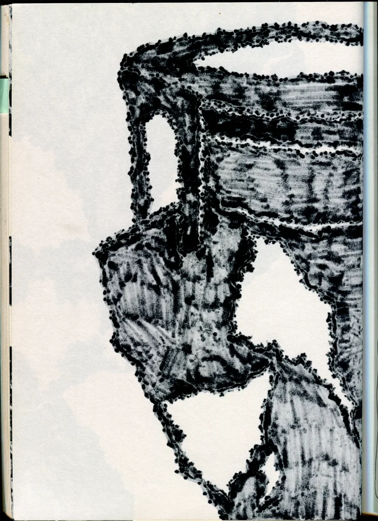 immagine per Caterina Morigi Cratere, 2021, disegno su carta copia